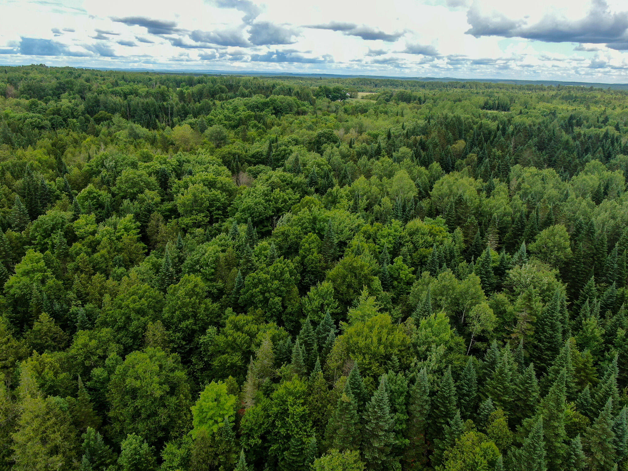 176 Front Ridge Road Houlton, ME 04730 - Photo 26 of 28 DJI_0922