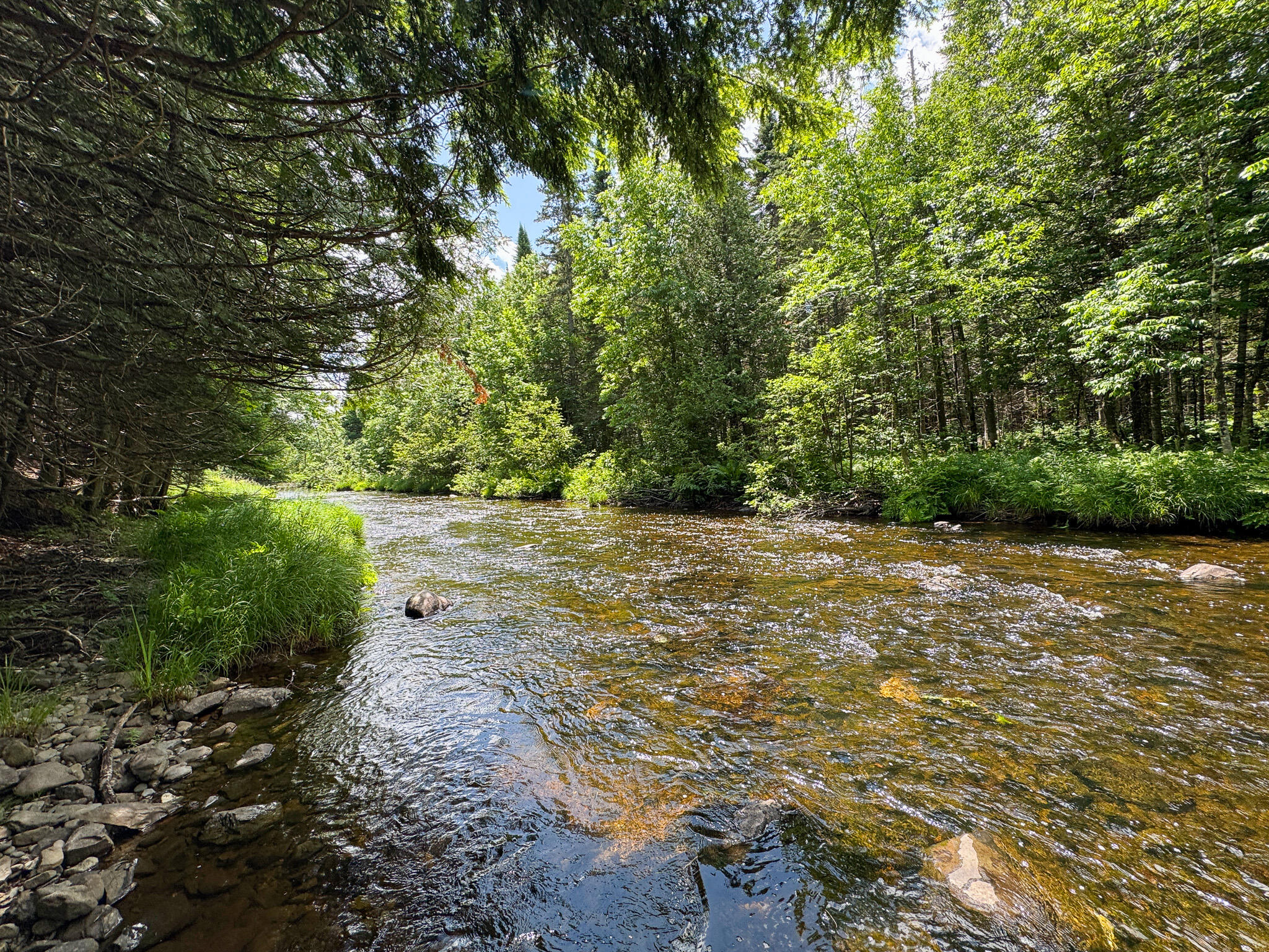 176 Front Ridge Road Houlton, ME 04730 - Photo 5 of 28 IMG_5687