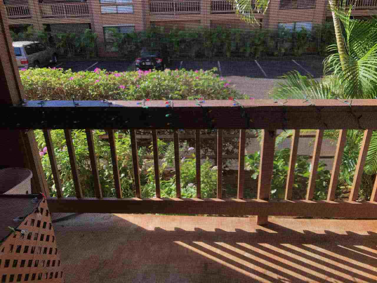 3740 Lower Honoapiilani Road, Unit B103 Lahaina, HI 96761 - Photo 6 of 16 a view of backyard with large trees and plants