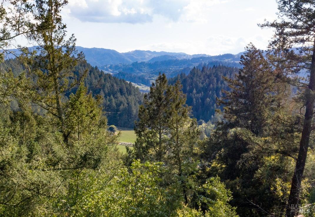 631-633 Sunnyside Road St. Helena, CA 94574 - Photo 4 of 18 a view of a house with a mountain in the background