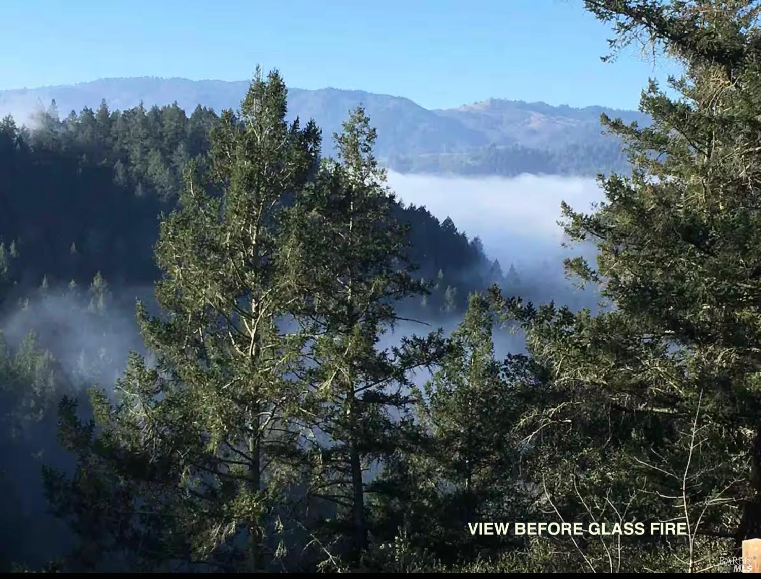 631-633 Sunnyside Road St. Helena, CA 94574 - Photo 5 of 18 a view of a houses with a yard