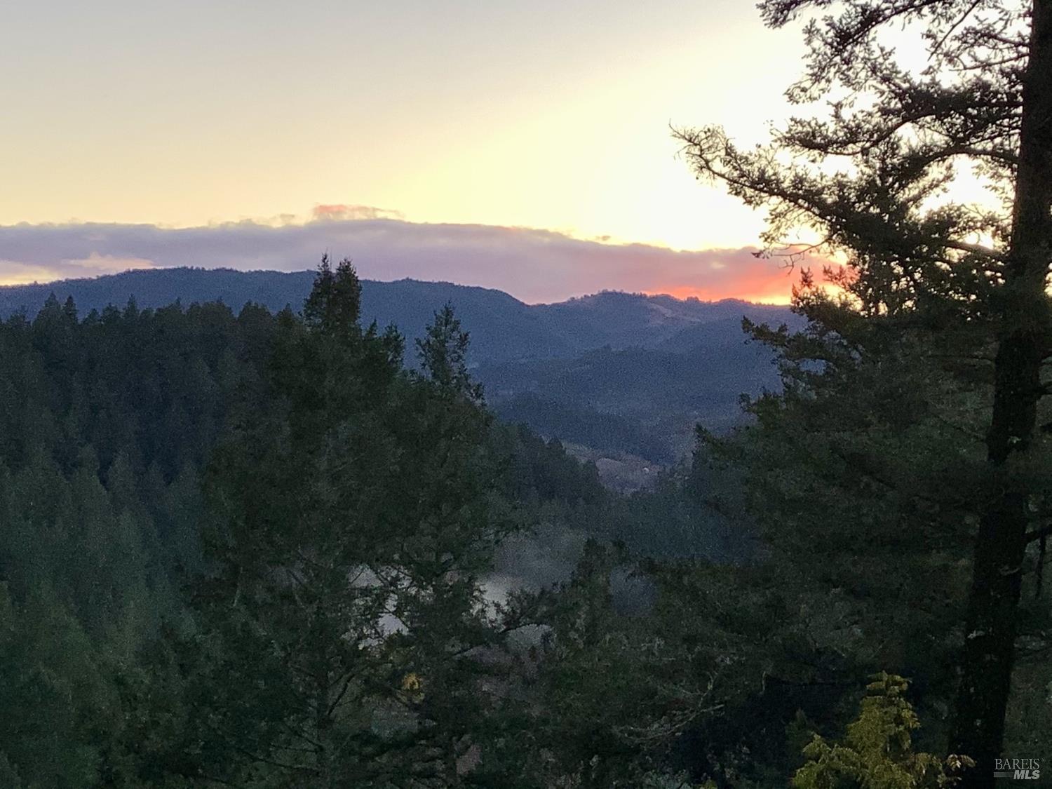 631-633 Sunnyside Road St. Helena, CA 94574 - Photo 6 of 18 a view of a lush green forest with a mountain