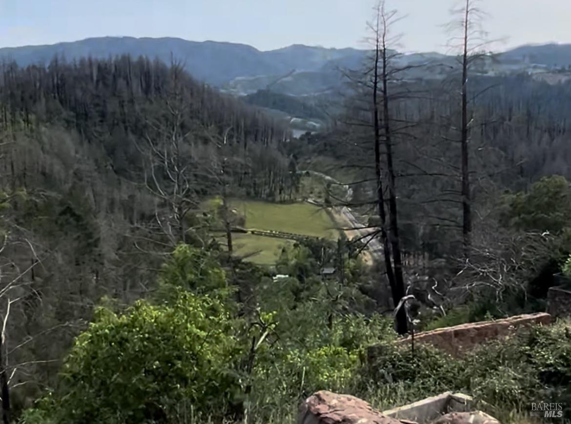 631-633 Sunnyside Road St. Helena, CA 94574 - Photo 8 of 18 a view of a back yard