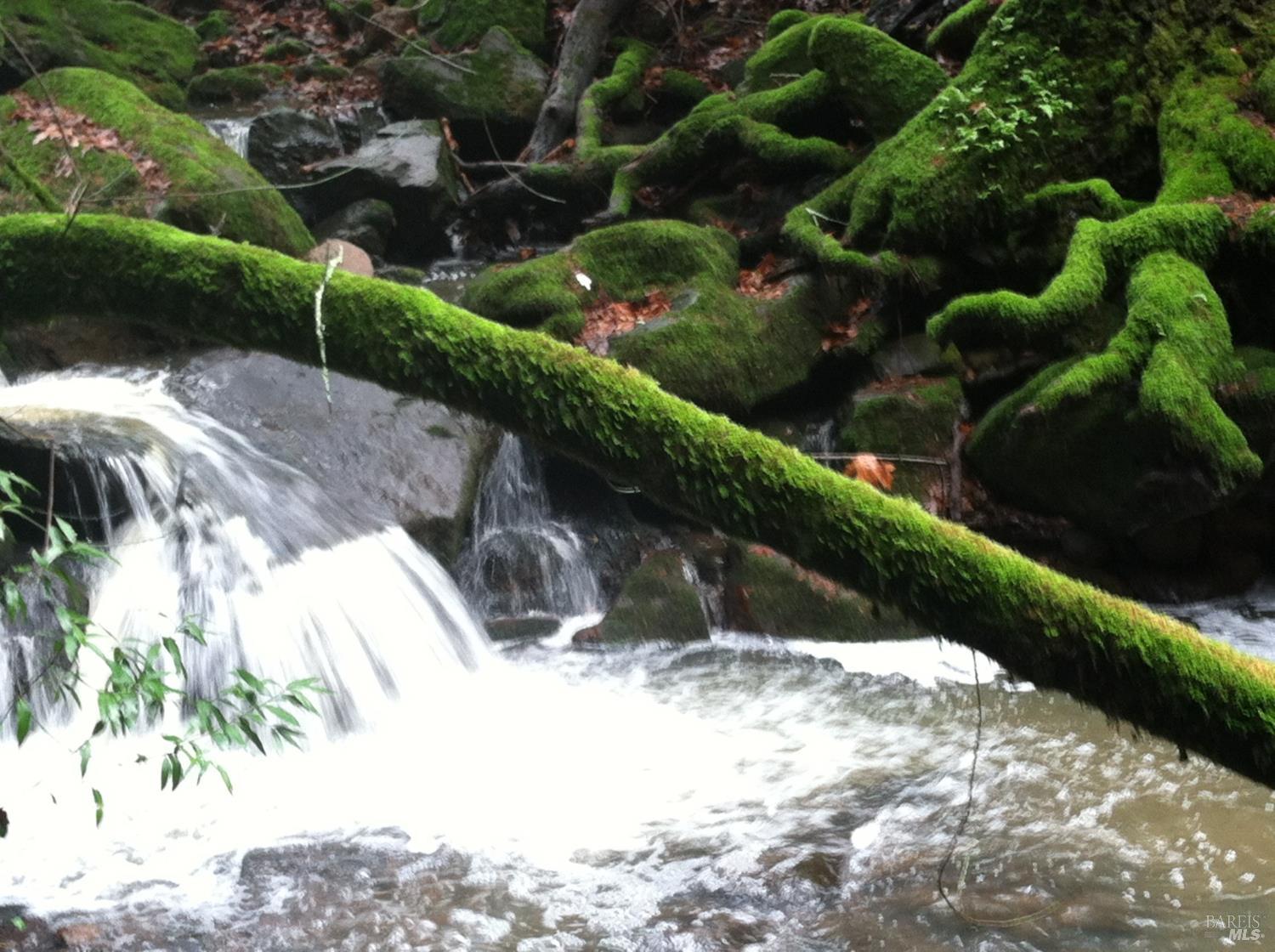 631-633 Sunnyside Road St. Helena, CA 94574 - Photo 9 of 18 a view of a garden with a pathway