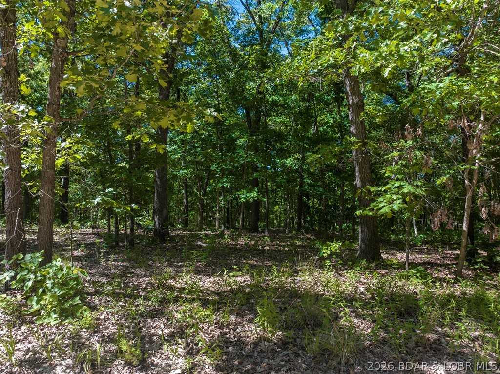 Valley Spring Road Camdenton, MO 65020 - Photo 4 of 19 Great Building Lot