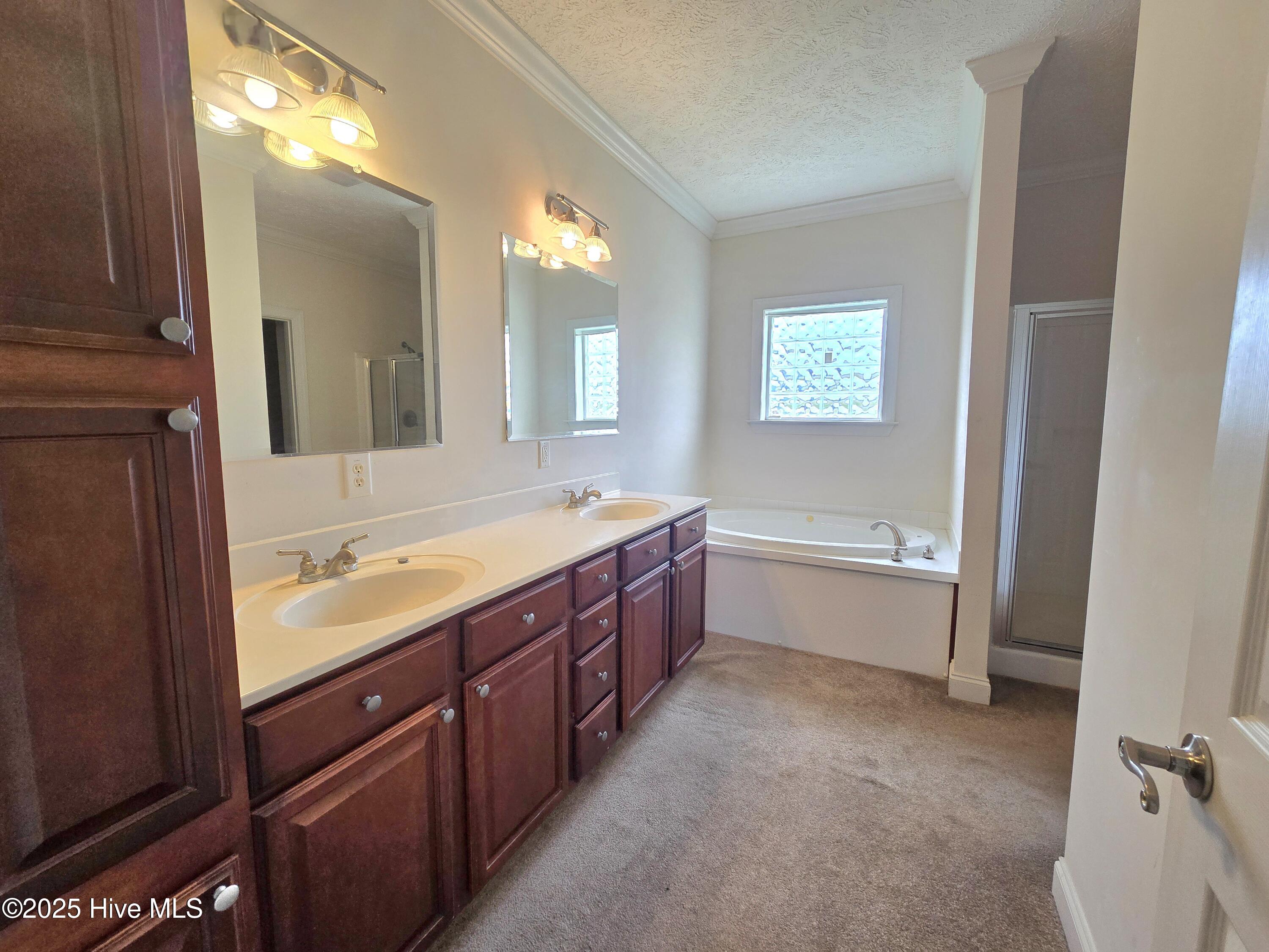 550 West Millpond Road Roper, NC 27970 - Photo 9 of 20 Master Bath