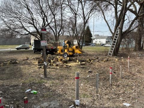 5615 South Perry Avenue Chicago, IL 60621 - Photo 3 of 4 a view of road with trees