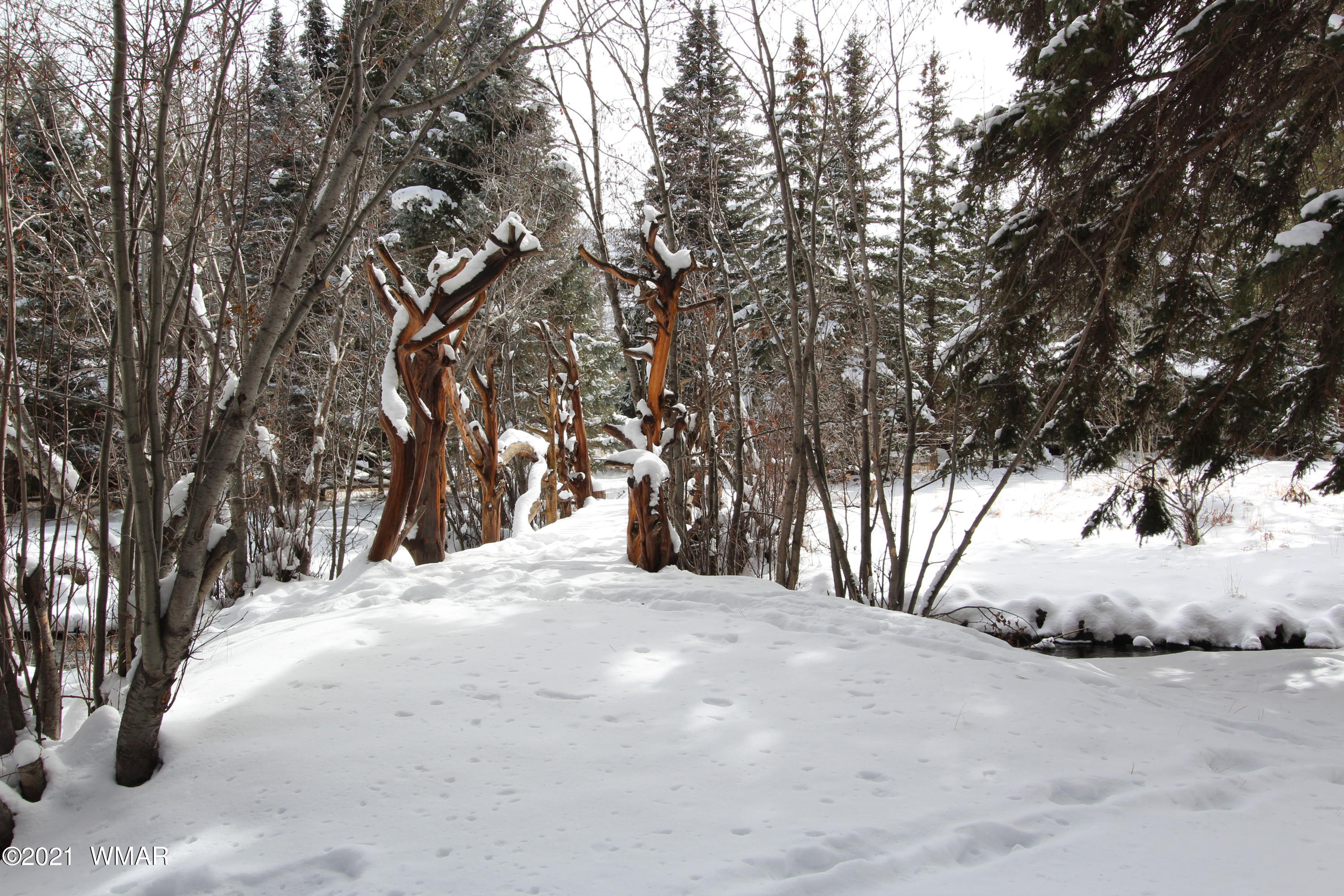 20 Main Street Greer, AZ 85927 - Photo 40 of 62