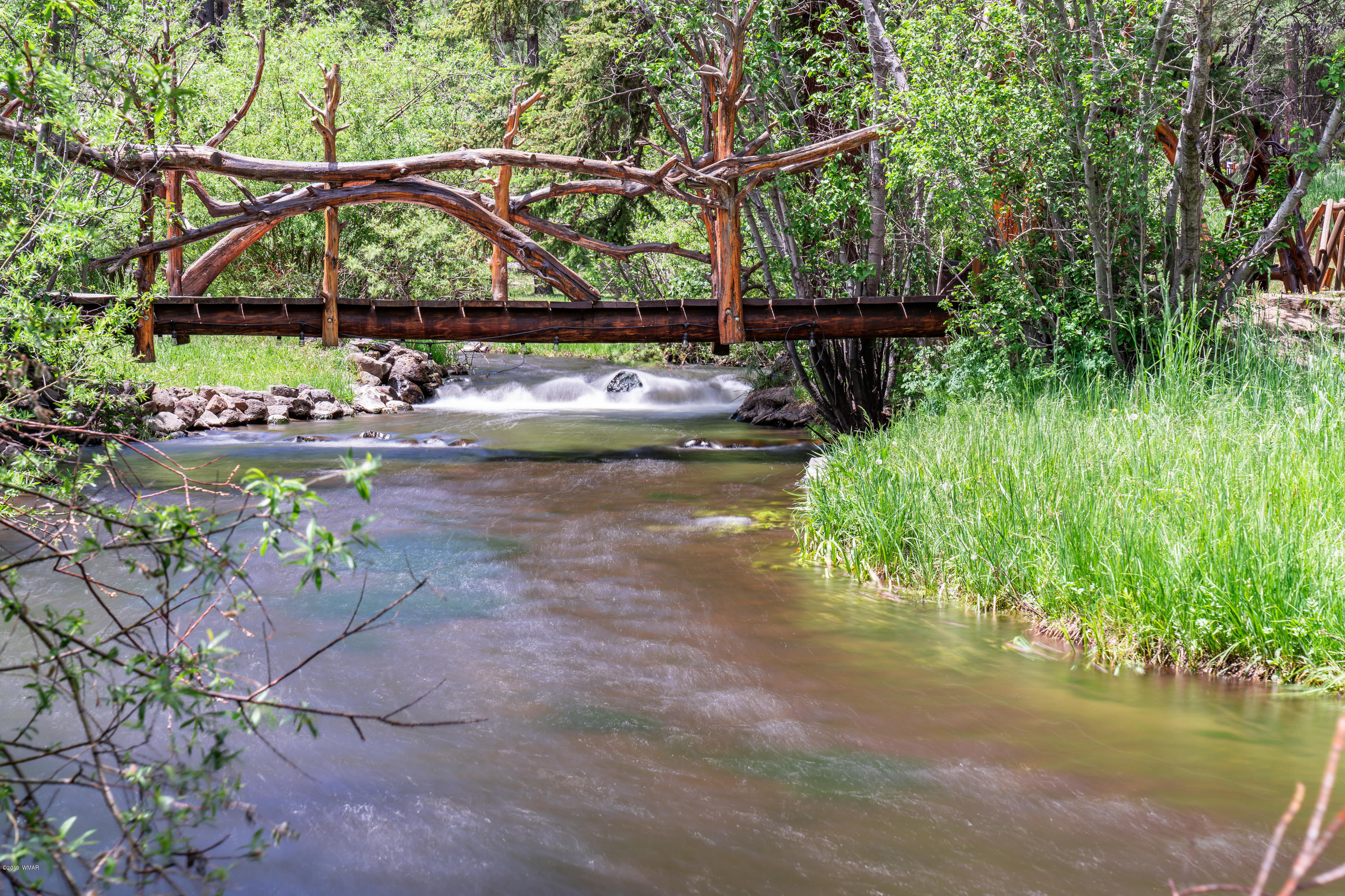 20 Main Street Greer, AZ 85927 - Photo 4 of 62