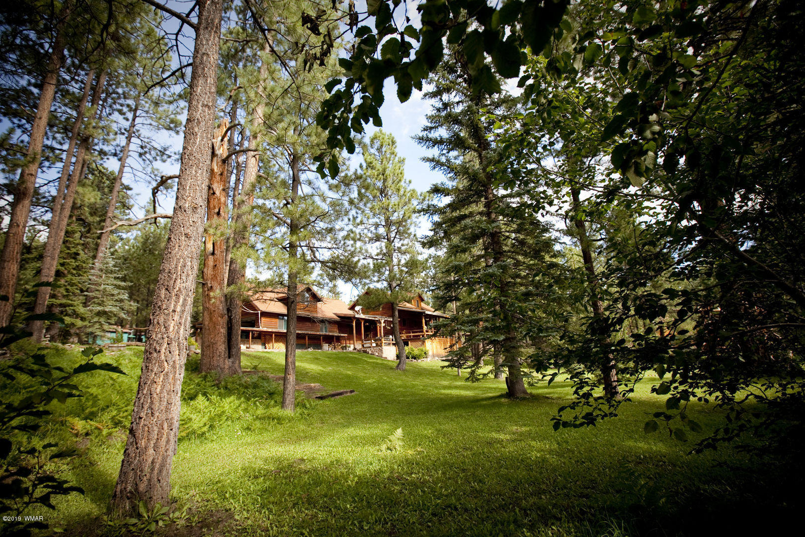 20 Main Street Greer, AZ 85927 - Photo 56 of 62