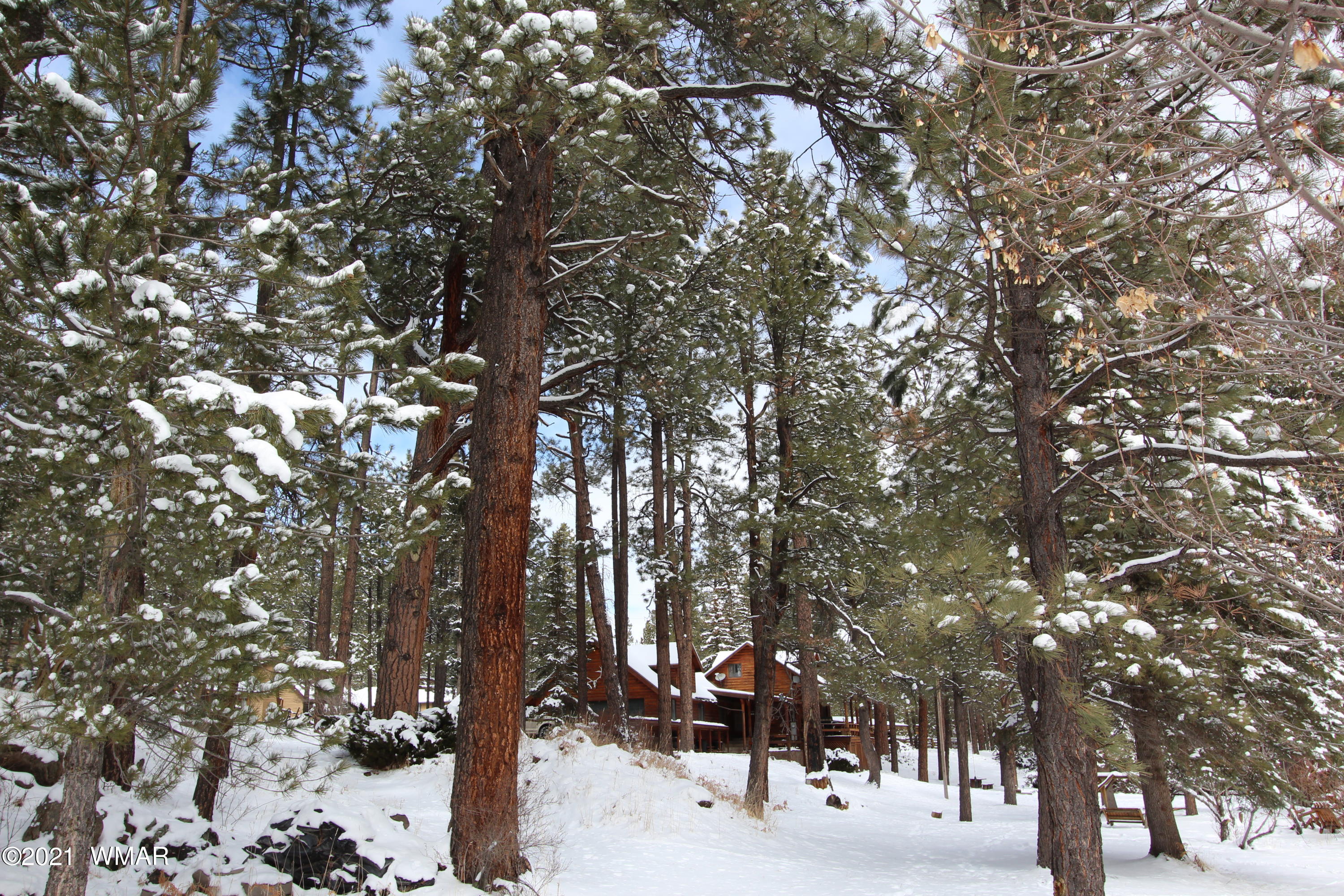 20 Main Street Greer, AZ 85927 - Photo 62 of 62