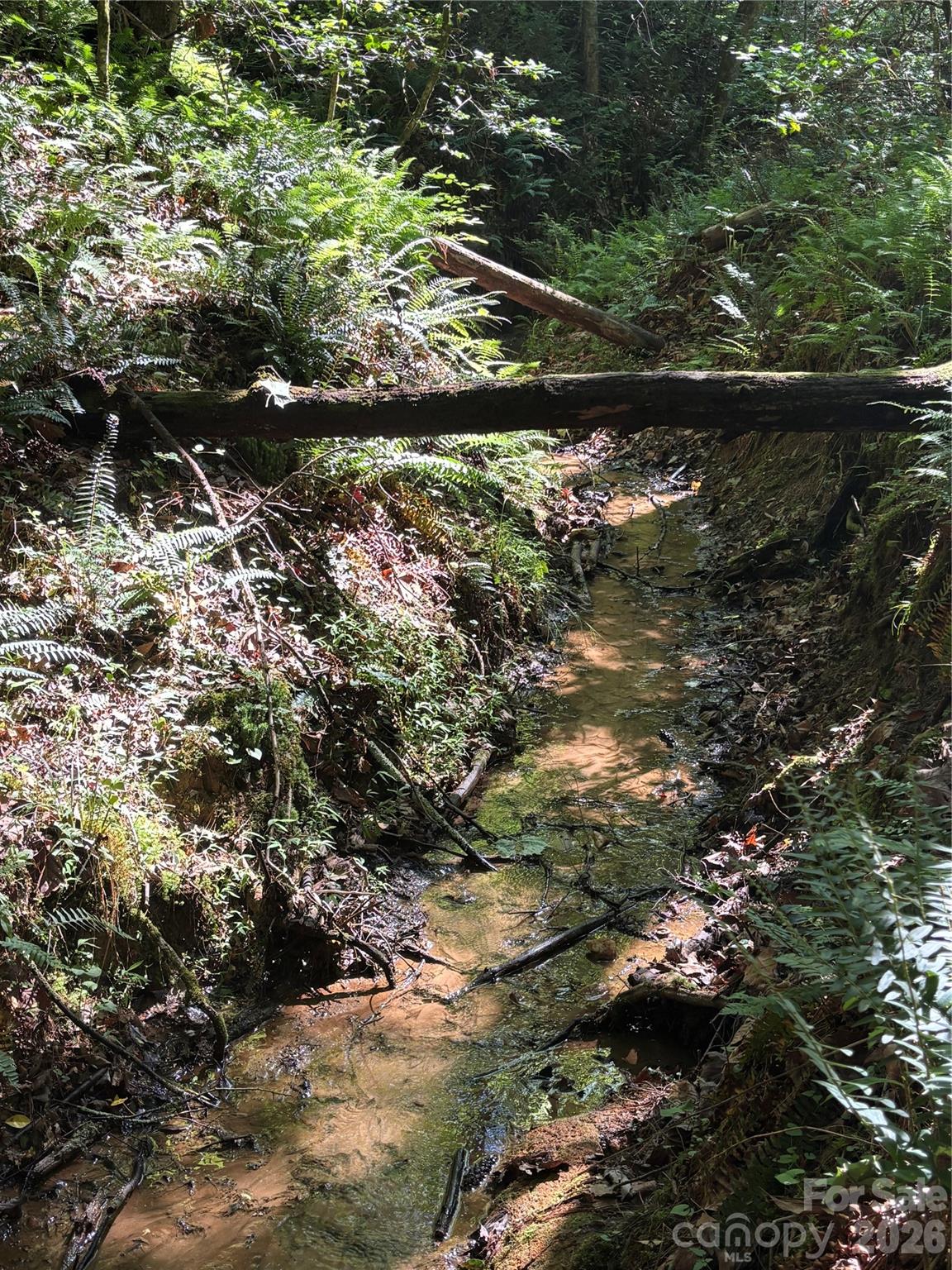 0 Stillwater Road Boomer, NC 28606 - Photo 17 of 33