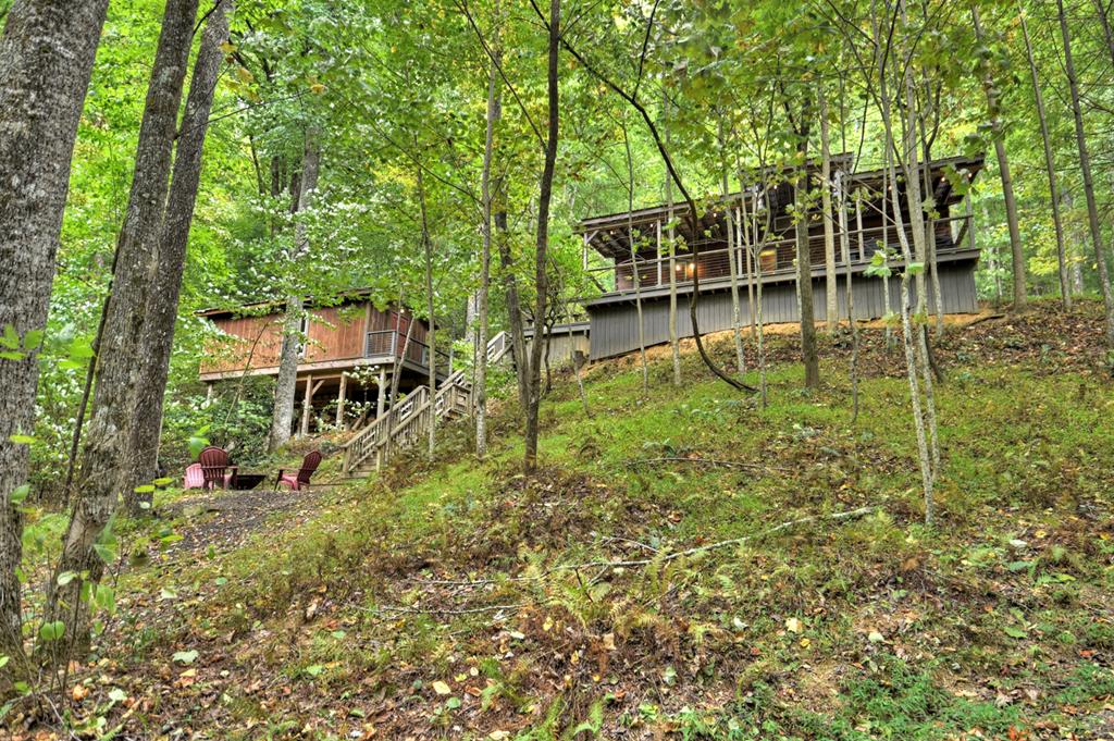 Main View