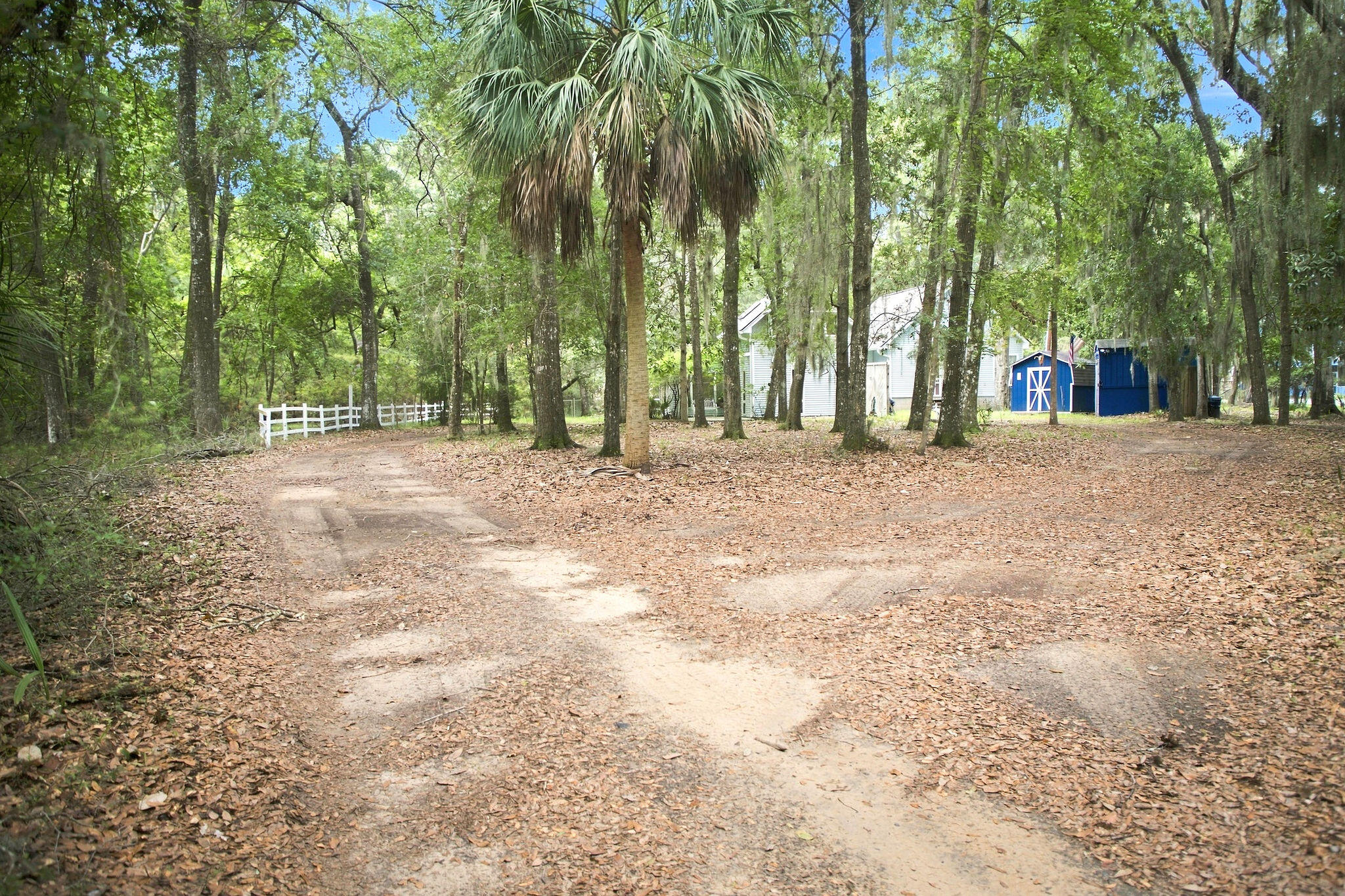 8557 Palmetto Road Edisto Island, SC 29438 - Photo 74 of 75 Tamma_Smith_Photography_3200