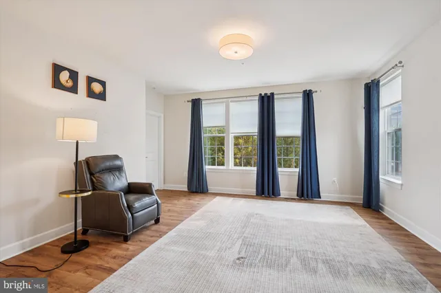 a living room with furniture rug and a window