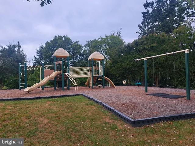 a view of a park with large trees