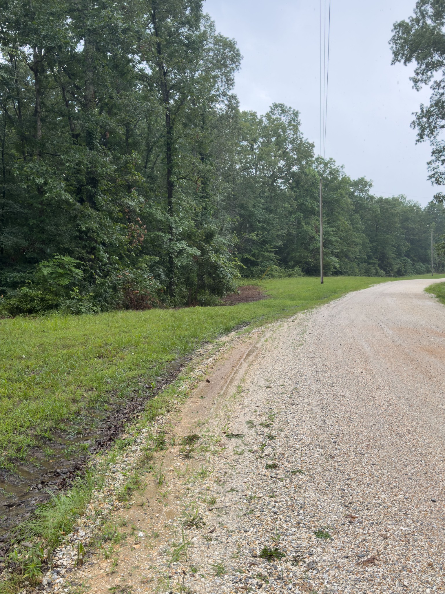 0 Three Rivers Drive Hurricane Mills, TN 37078 - Photo 11 of 20 a view of a field with trees in the background
