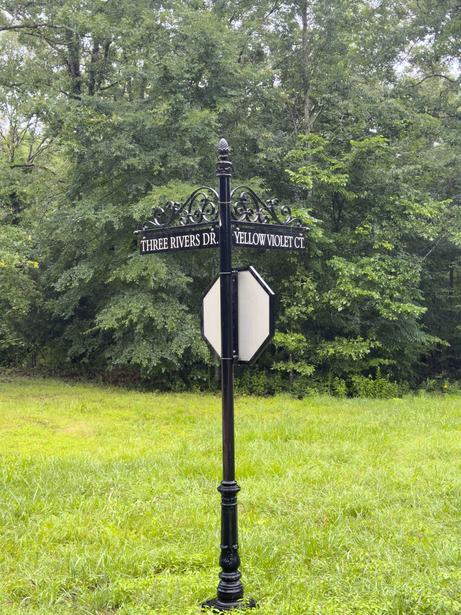 0 Three Rivers Drive Hurricane Mills, TN 37078 - Photo 12 of 20 a front view of a house with a yard and trees