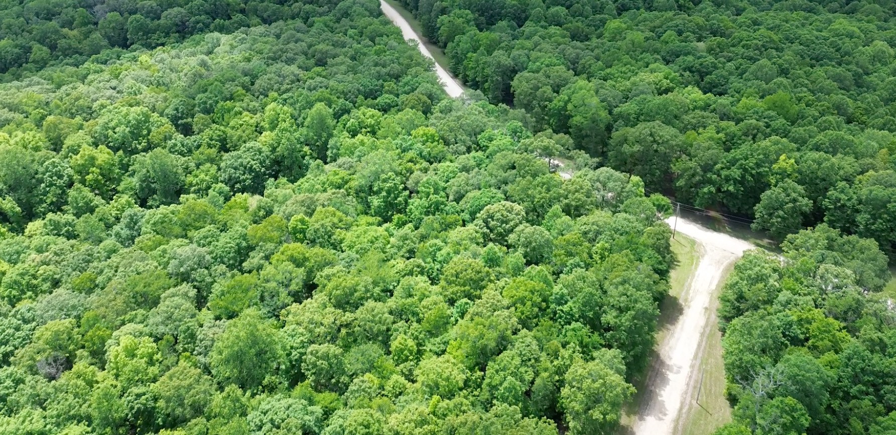 0 Three Rivers Drive Hurricane Mills, TN 37078 - Photo 2 of 20 an aerial view of residential house with outdoor space and trees all around