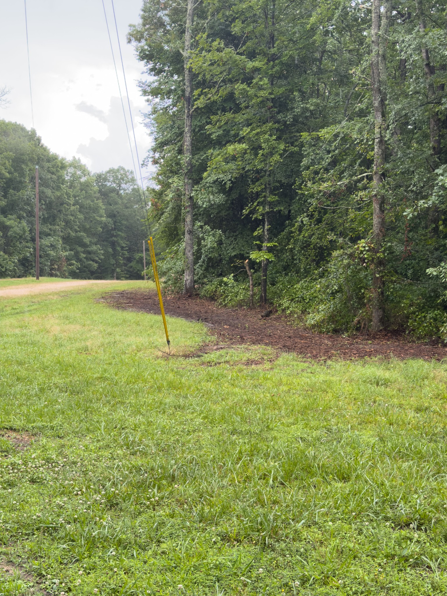 0 Three Rivers Drive Hurricane Mills, TN 37078 - Photo 8 of 20 a backyard of a house with lots of green space