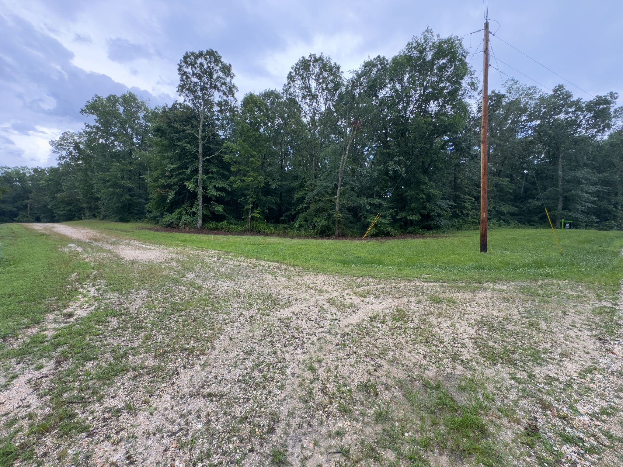 0 Three Rivers Drive Hurricane Mills, TN 37078 - Photo 9 of 20 a view of a field with trees in background