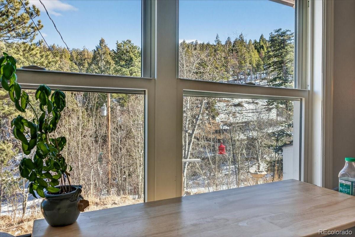 11827 Brook Road Golden, CO 80403 - Photo 11 of 32 a view of a room with a floor to ceiling window and wooden floor