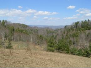 181 Green Hollow Road Butler, TN 37640 - Photo 3 of 4 Photo 3