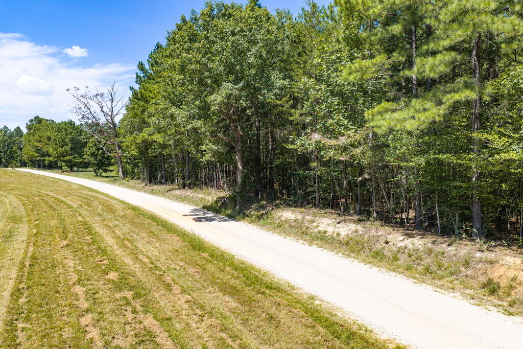 Davis Lowground Road, Unit 9 Keysville, VA 23947 - Photo 11 of 17 Gallery Image 11