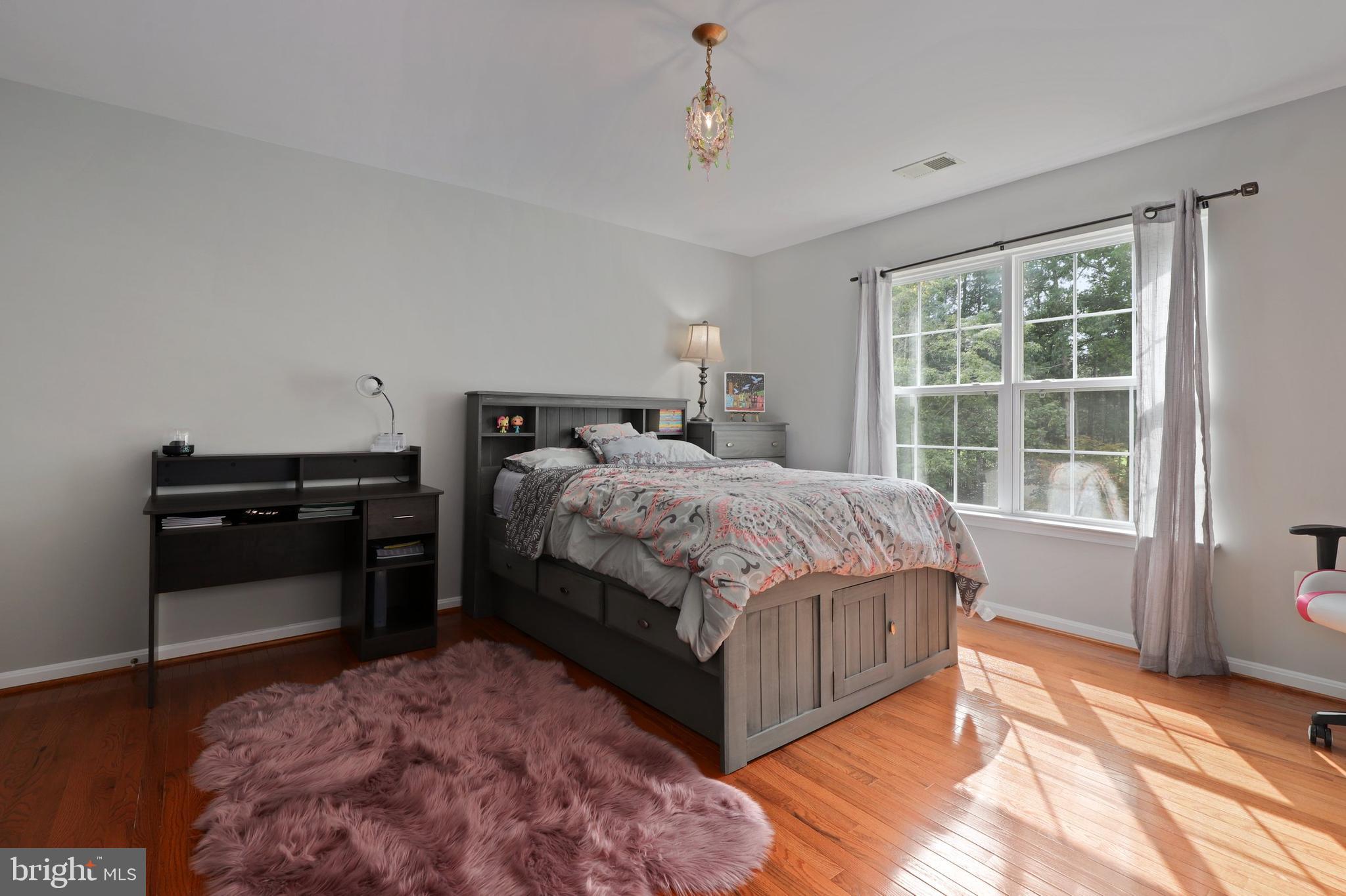8278 Shimmering Rock Road Gainesville, VA 20155 - Photo 36 of 79