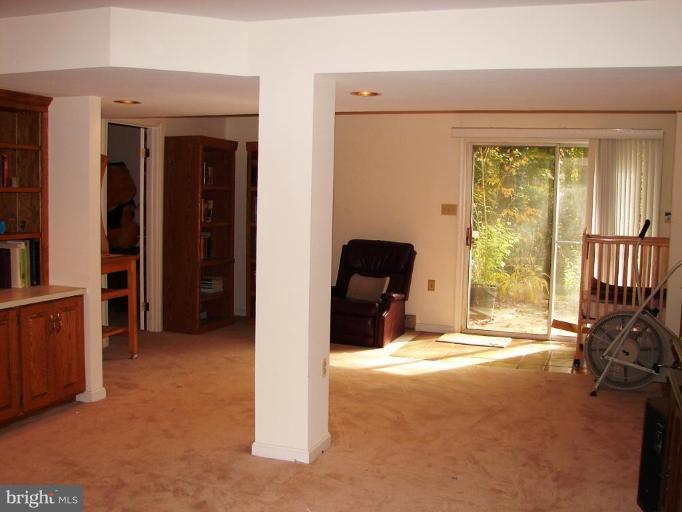 10164 Red Spruce Road Fairfax, VA 22032 - Photo 16 of 30 Finished Lower Level 2