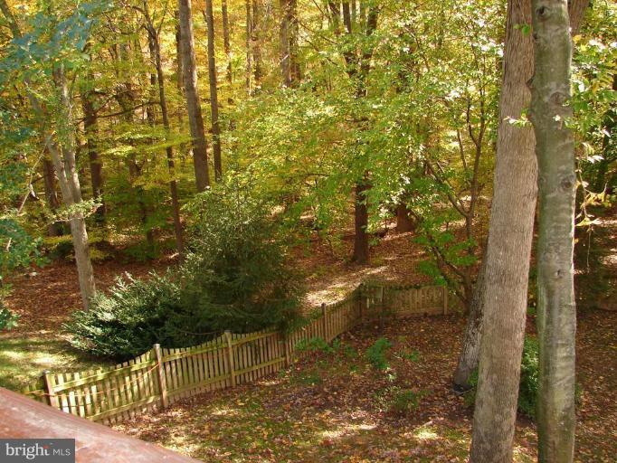 10164 Red Spruce Road Fairfax, VA 22032 - Photo 25 of 30 Deck - View from
