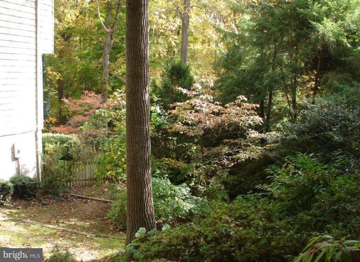 10164 Red Spruce Road Fairfax, VA 22032 - Photo 30 of 30 Wooded View / Acreage