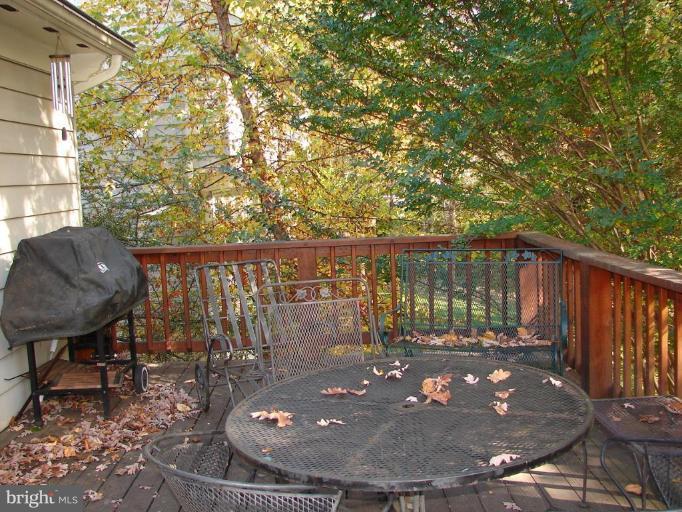 10164 Red Spruce Road Fairfax, VA 22032 - Photo 10 of 30 Deck