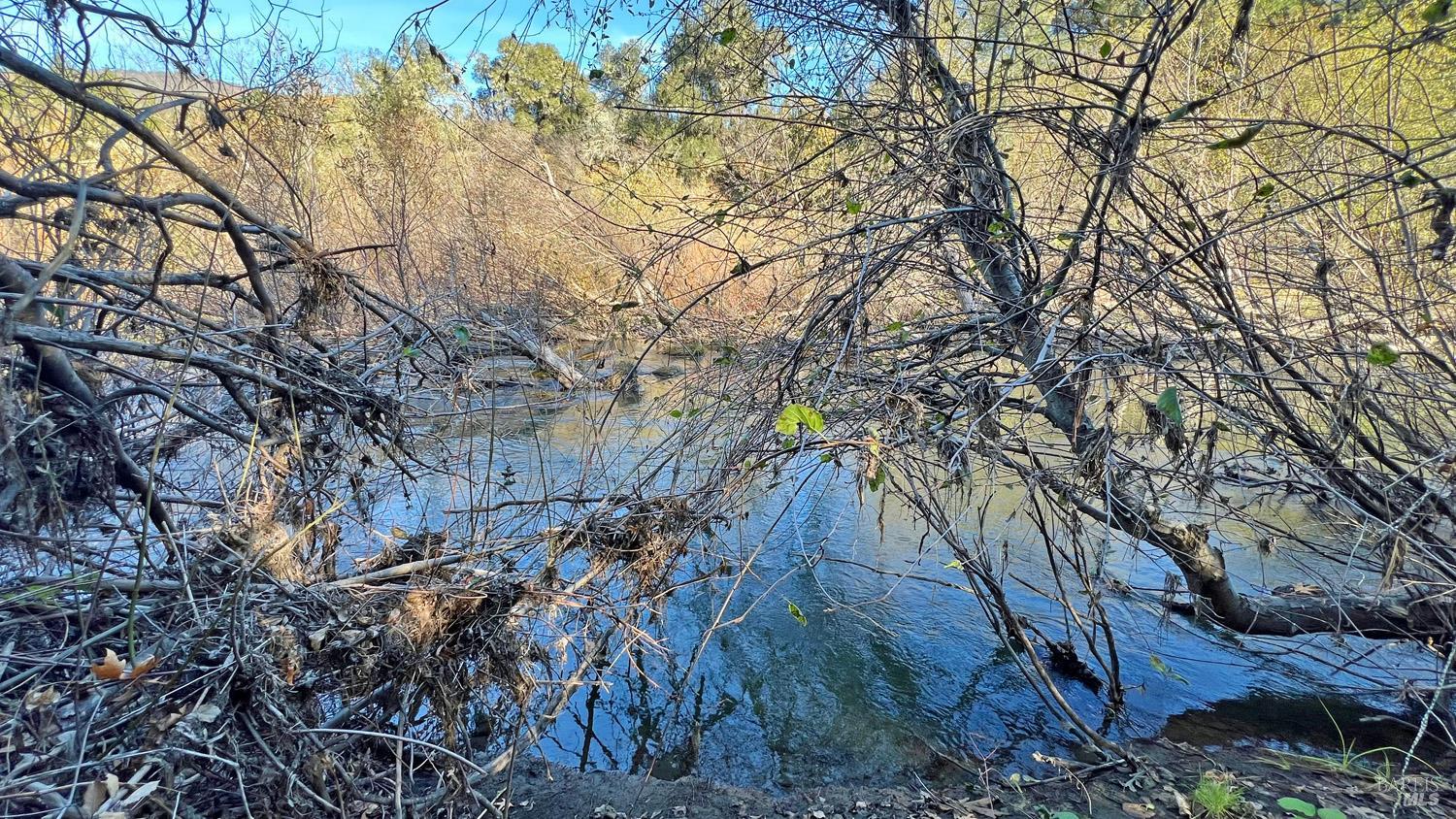 17571 Van Arsdale Road Potter Valley, CA 95469 - Photo 6 of 10 a backyard of a house with lots of green space
