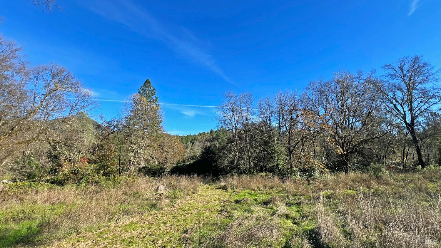 17571 Van Arsdale Road Potter Valley, CA 95469 - Photo 7 of 10 a view of a yard