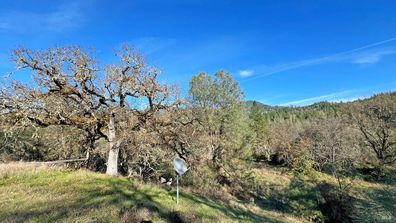 17571 Van Arsdale Road Potter Valley, CA 95469 - Photo 8 of 10 a view of a yard with a tree