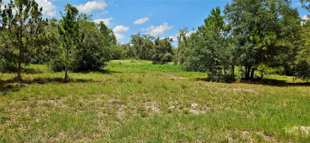 Mammoth Grove Rd Lake Lake Wales, FL 33898 - Photo 3 of 7