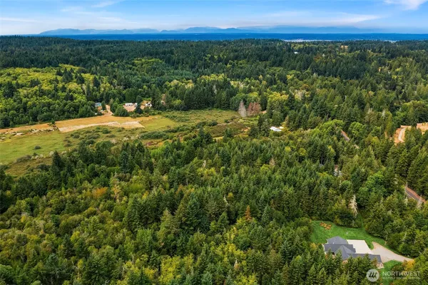 a view of a city with lush green forest