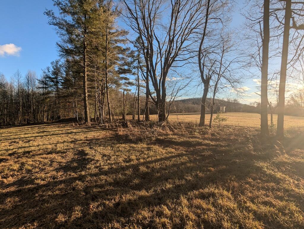Tbd Long Mountain Road Southwest Willis, VA 24380 - Photo 13 of 16 a view of yard with trees