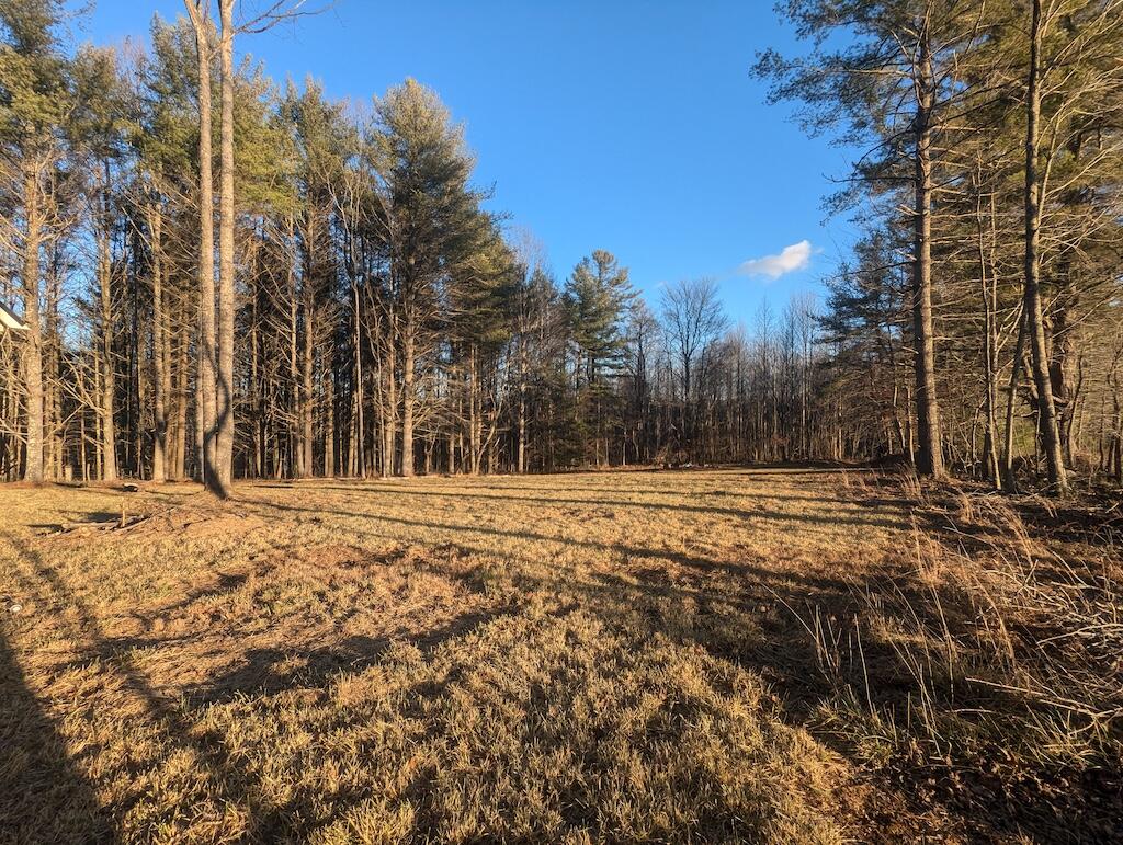 Tbd Long Mountain Road Southwest Willis, VA 24380 - Photo 15 of 16 a view of side of snow with trees