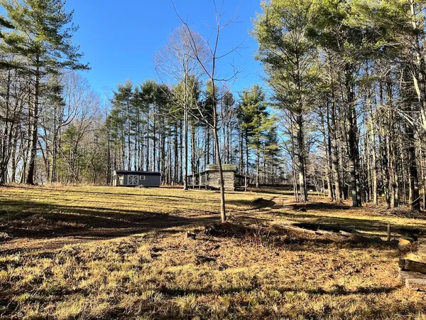 a view of a yard with large trees