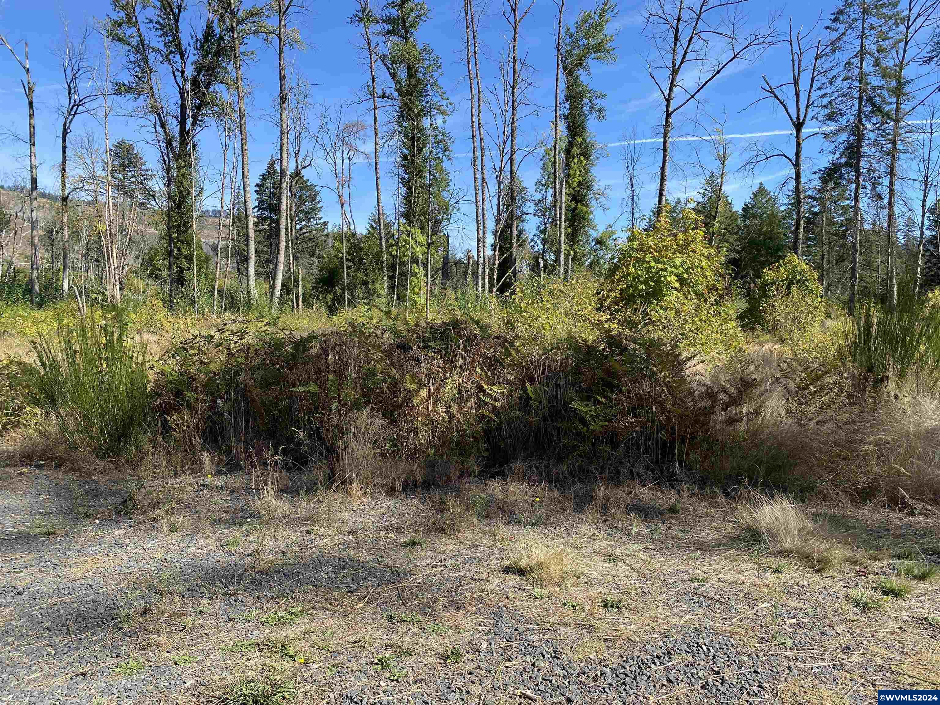 23545 North Fork Road Lyons, OR 97358 - Photo 8 of 16
