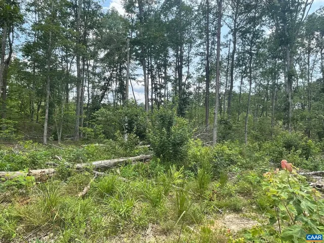 a big yard with lots of green space and deers