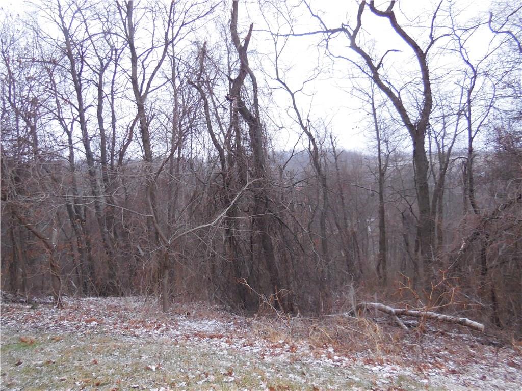 551 Allendale Road Rochester, PA 15074 - Photo 5 of 22 More of your property stretches over into the woods.