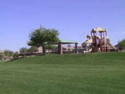 2569 South Martingale Road Gilbert, AZ 85295 - Photo 6 of 6 Additional Photo