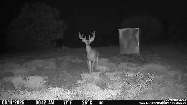 a kitchen with a table and chair