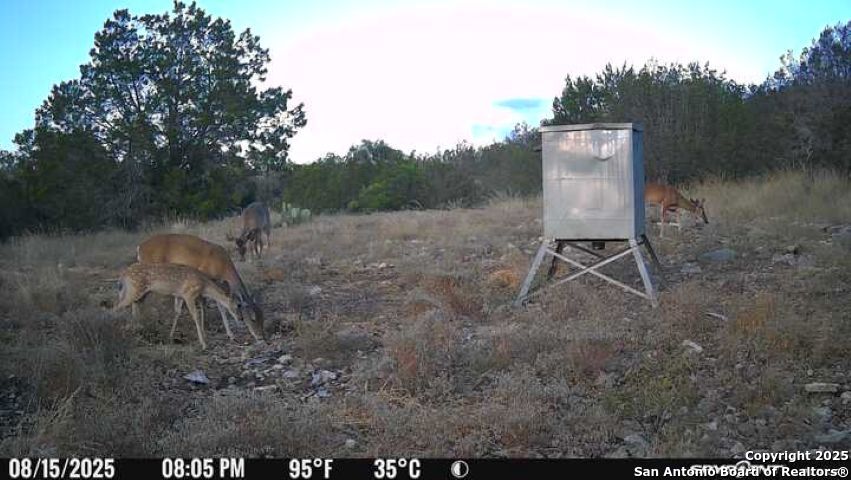45453 St Rocksprings Tx 78880 Rocksprings, TX 78880 - Photo 12 of 31 a view of a yard
