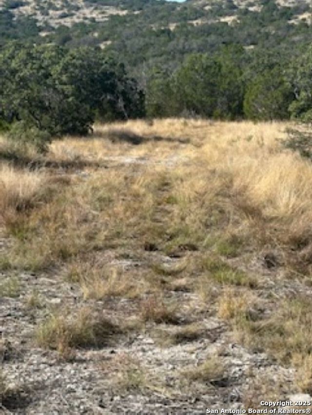 45453 St Rocksprings Tx 78880 Rocksprings, TX 78880 - Photo 18 of 31 a view of yard covered with snow