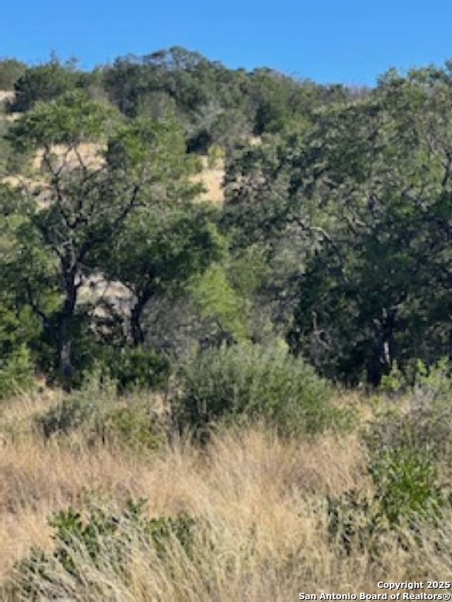 45453 St Rocksprings Tx 78880 Rocksprings, TX 78880 - Photo 20 of 31 a view of a forest with a tree in the background