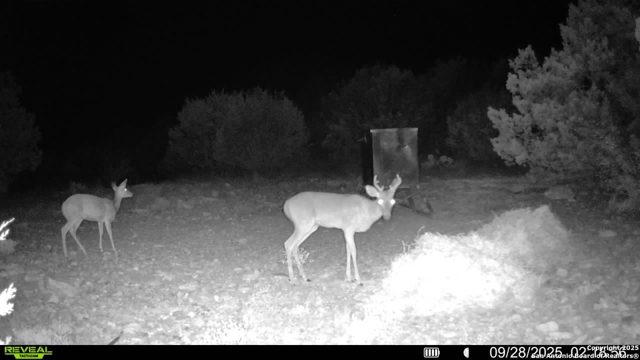 45453 St Rocksprings Tx 78880 Rocksprings, TX 78880 - Photo 2 of 31 a kitchen with a table and chair